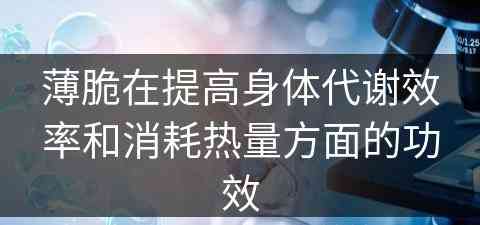 薄脆在提高身体代谢效率和消耗热量方面的功效